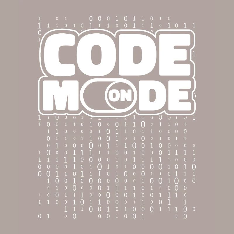 Programmeur Codeur développeur