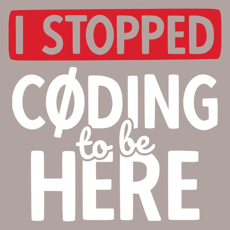 Software Ingenieur Informatiker Programmierer