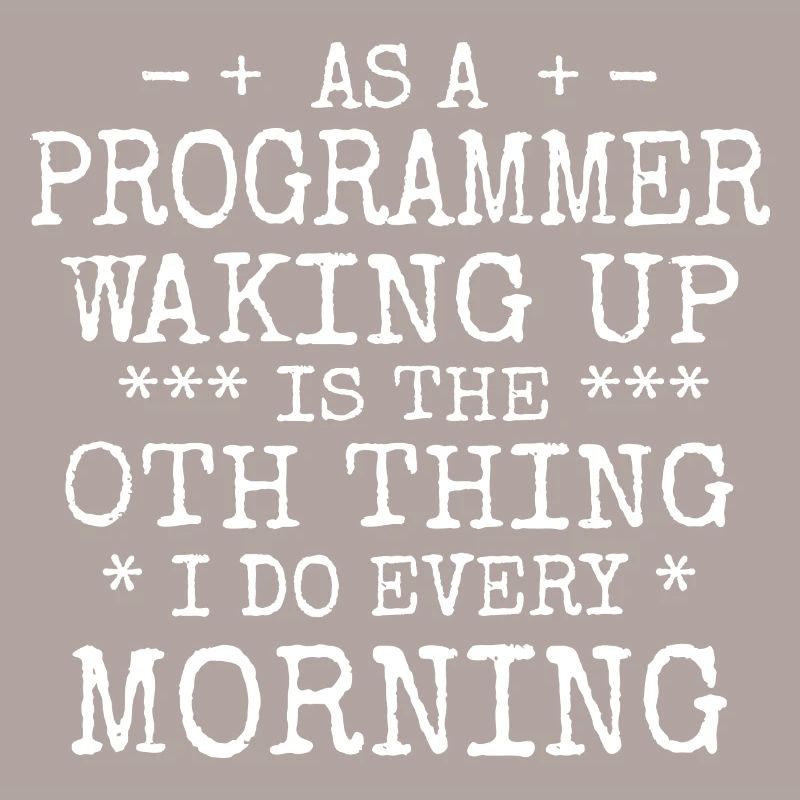 Software Ingenieur Informatiker Programmierer