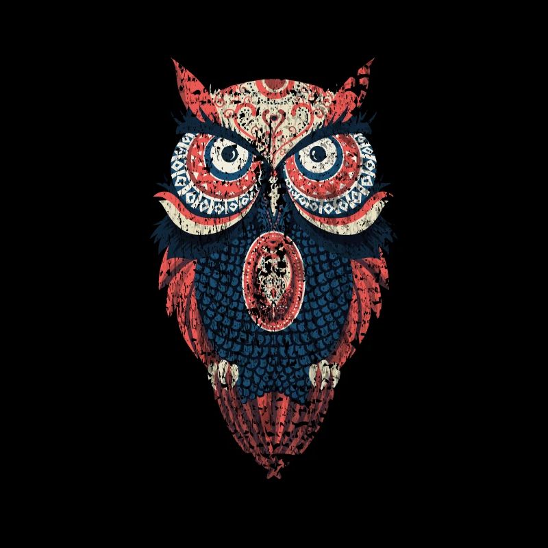 Eule Waldbewohner Eulen Natur