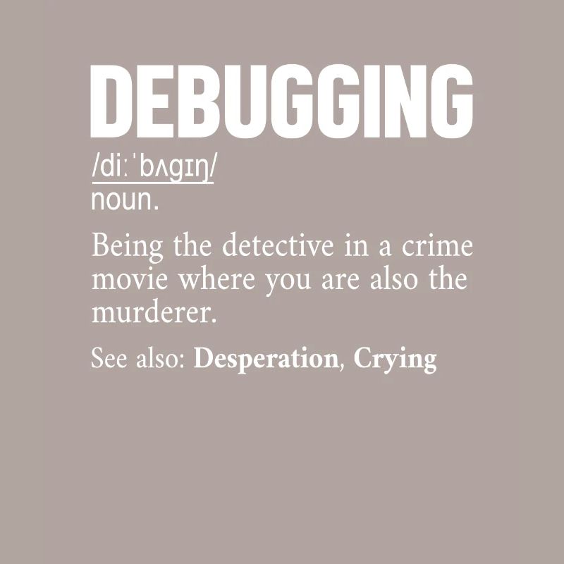 Debugging Definition Developer Coder Programmer