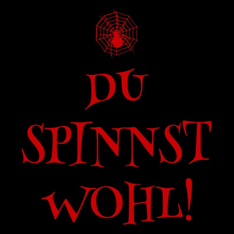 DU SPINNST WOHL - SPINNER - SPINNE - SPINNENNETZ