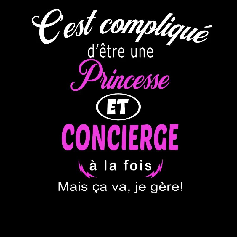 c'est compliqué princesse et concierge