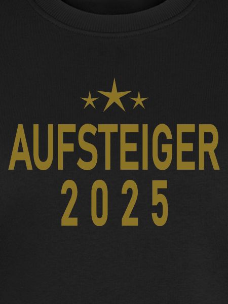 Aufsteiger 2025