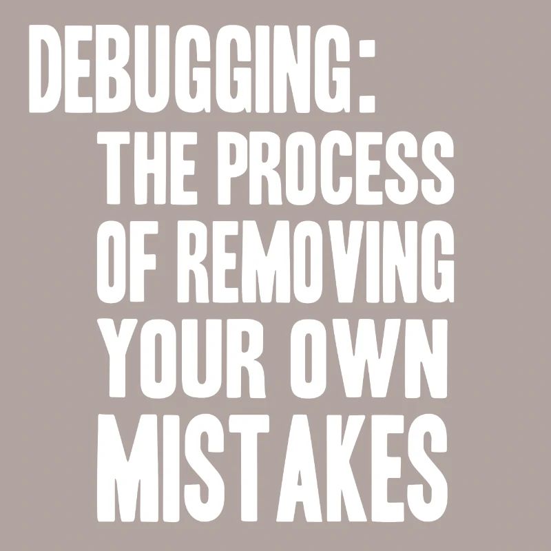 debugging process