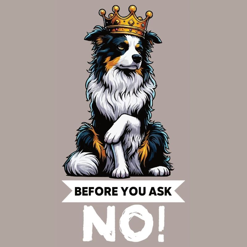 Before You Ask Australian Shepherd Aussie Aussies