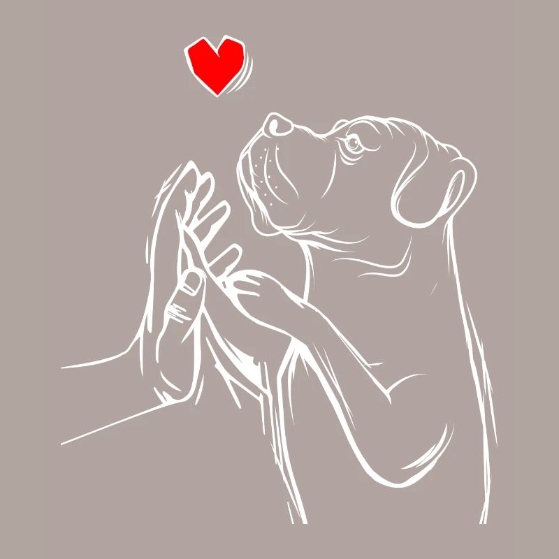 Cane Corso Chiens Chère Maîtresse