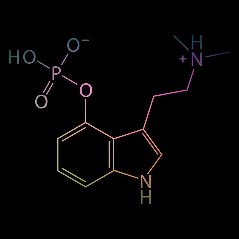Molécule de psilocybine Chimie Champignons magiques Champignons Psy