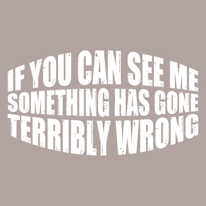 If You Can See Me, Something Has Gone Wrong 12