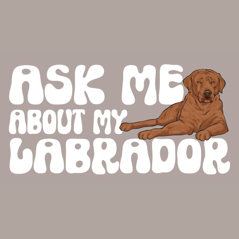 Foxred Labrador Fox Red Labrador Retriever