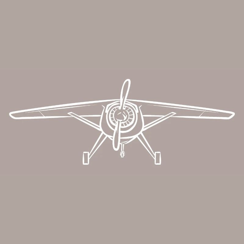 Modèle d’avion télécommandé