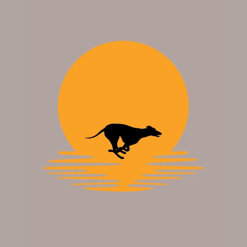 Coucher de Greyhound