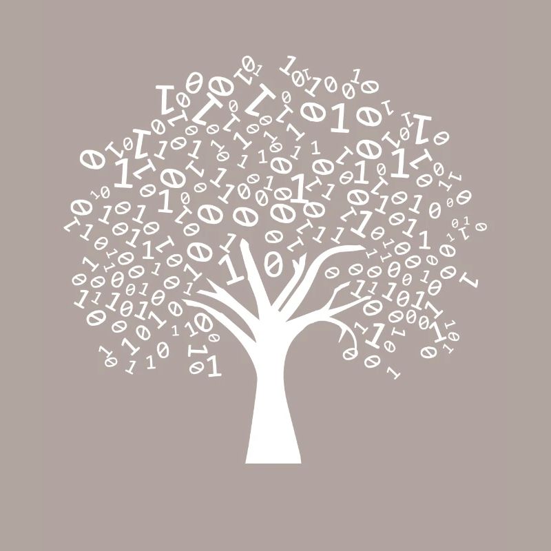 Programmeur Arbre binaire