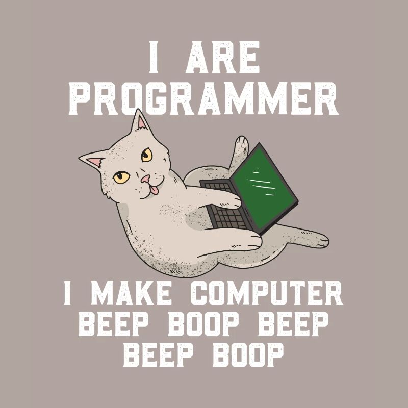 Chat programmeur