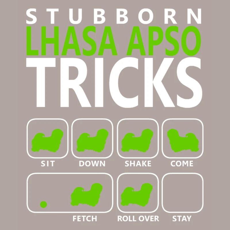 Stubborn Lhasa Apso Tricks