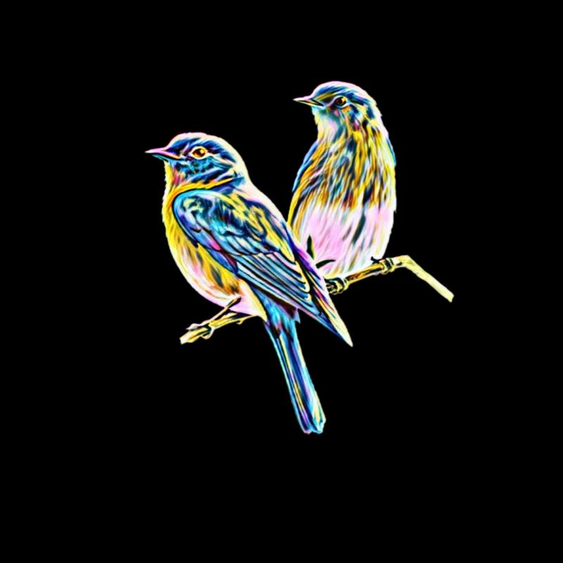 Vögel