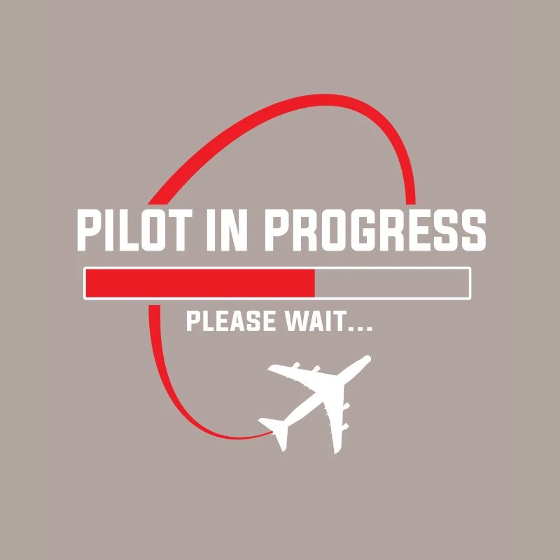 Pilot in progress