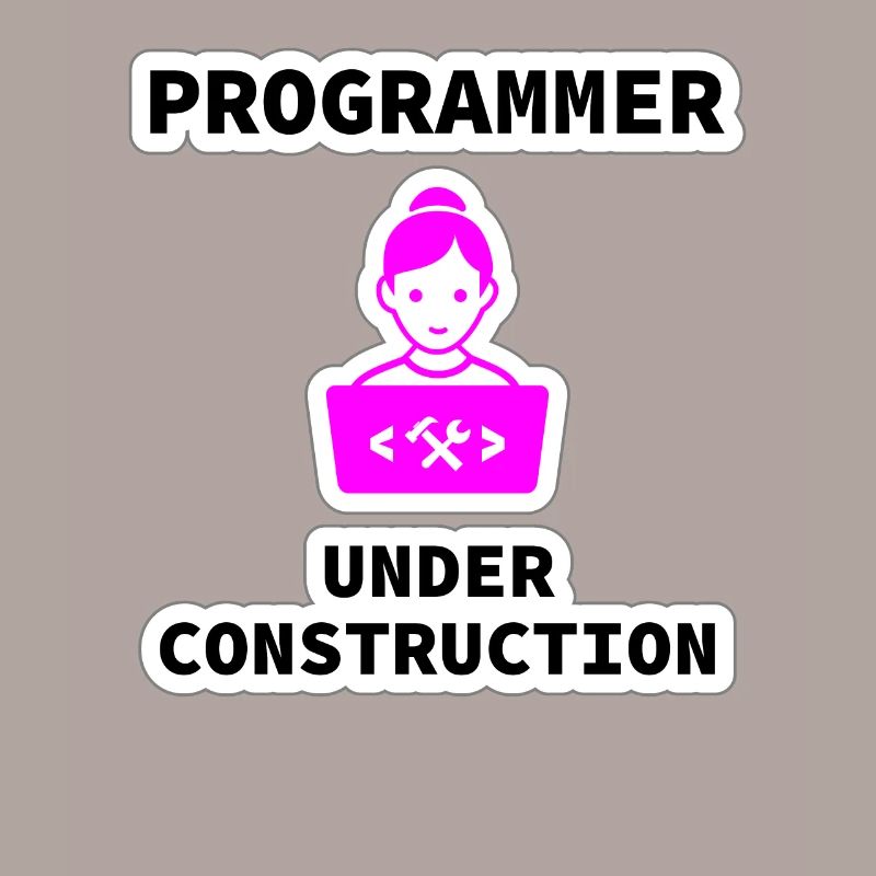Girl Programmer Under Construction, Programming