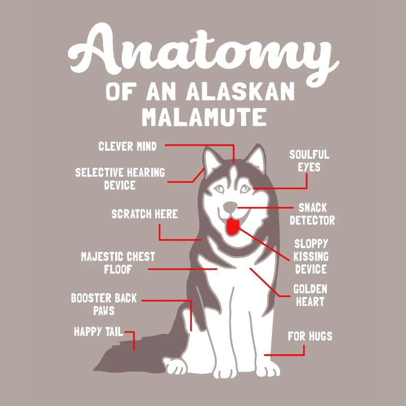 Malamute