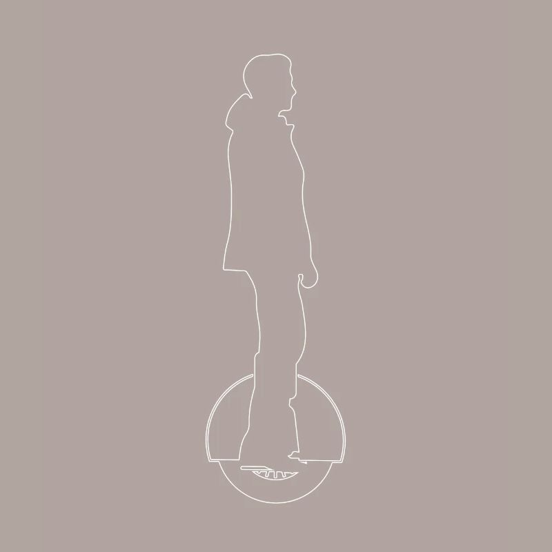 Elektrisches Einrad Solowheel