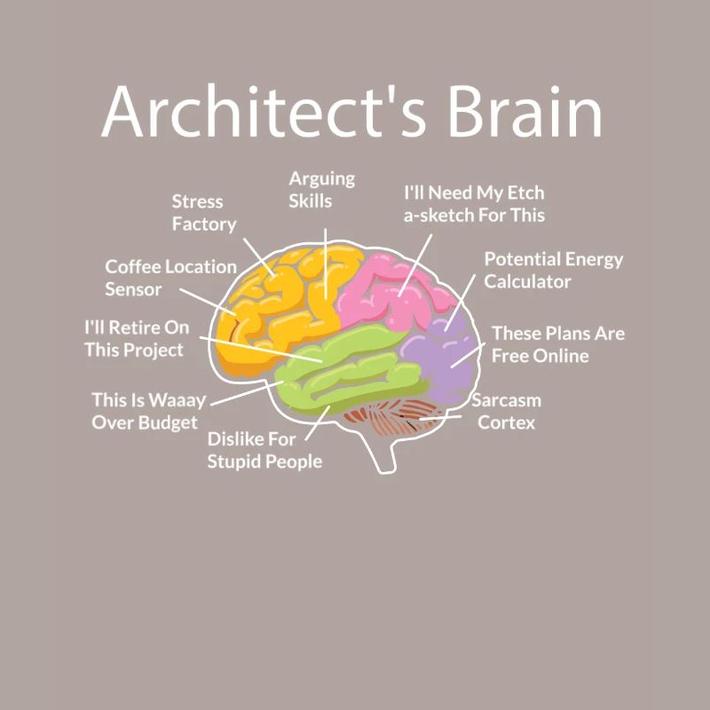 Architecte, Architecture, cerveau d’architecte
