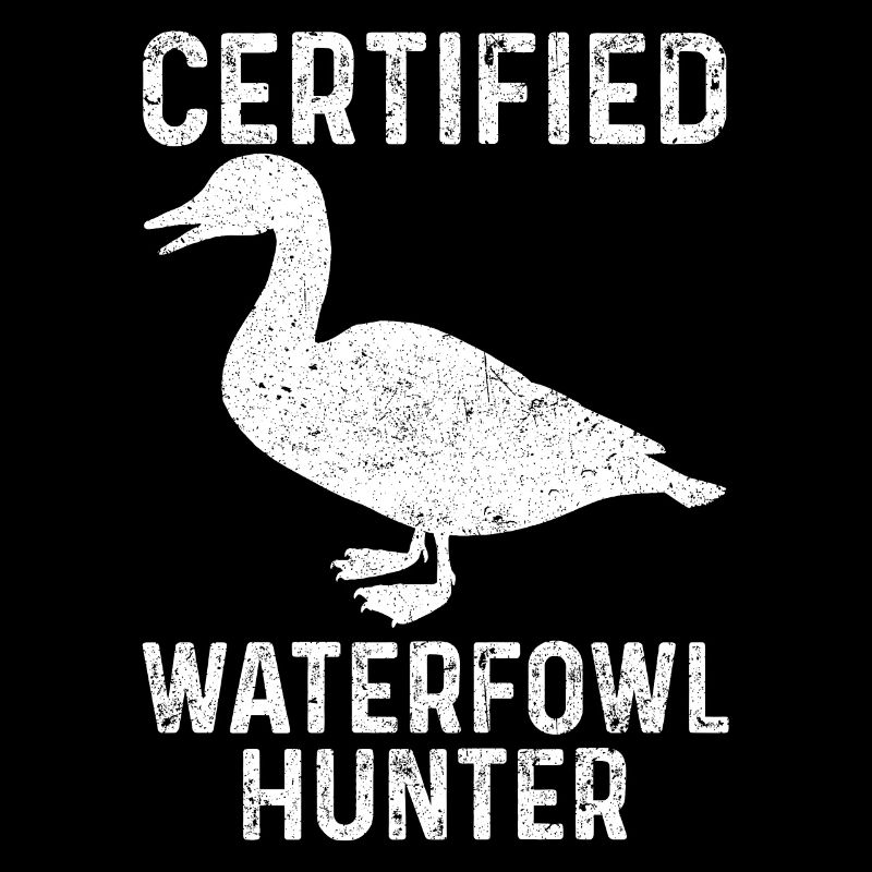 Drôle de chasse au canard