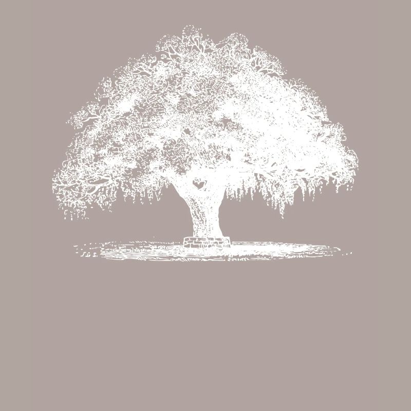 Baum