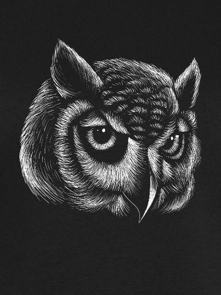 Owl Realistic Drawing Line Lines Owl