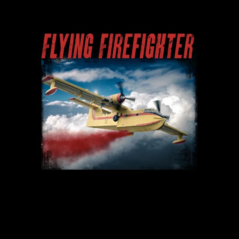 Brandbekämpfung Waldrand Löschflugzeug Vintage