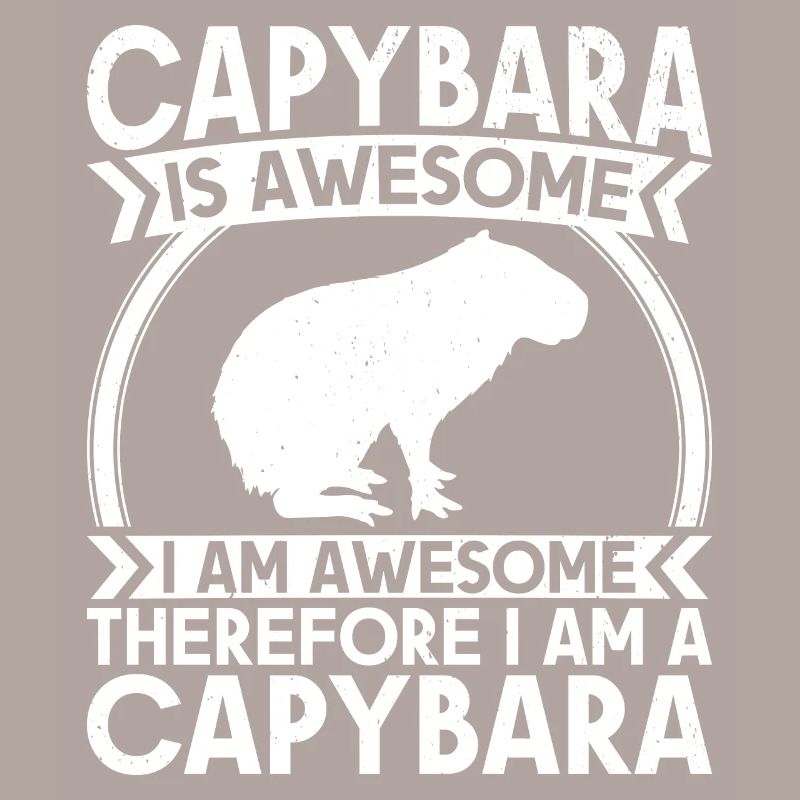 Capybara Rongeur Capybara Capybara