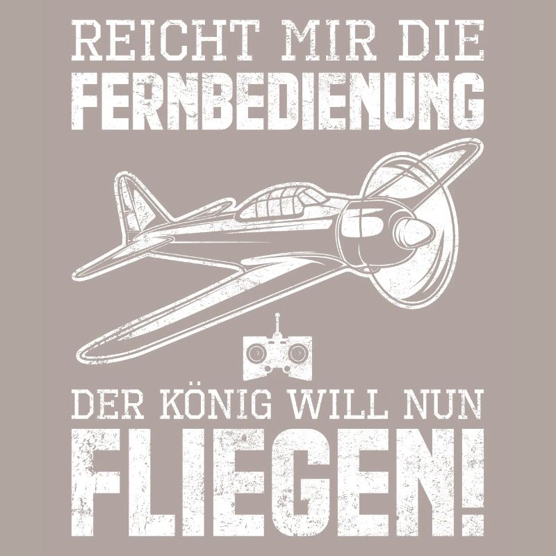 Modellbau Modellflug Pilot