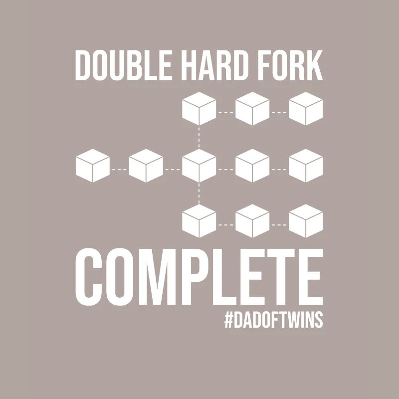 Double Hard Fork Blockchain complète Papa