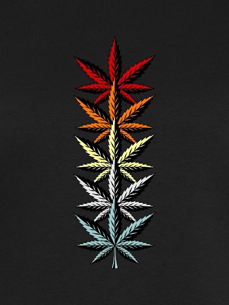 Cannabis