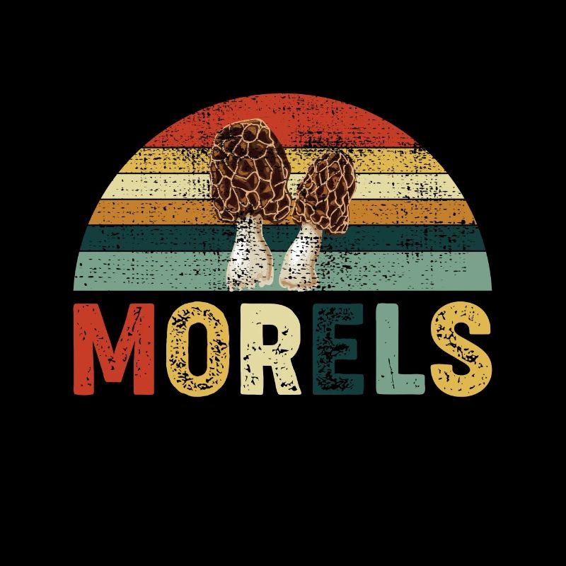 Morels Pilz Design