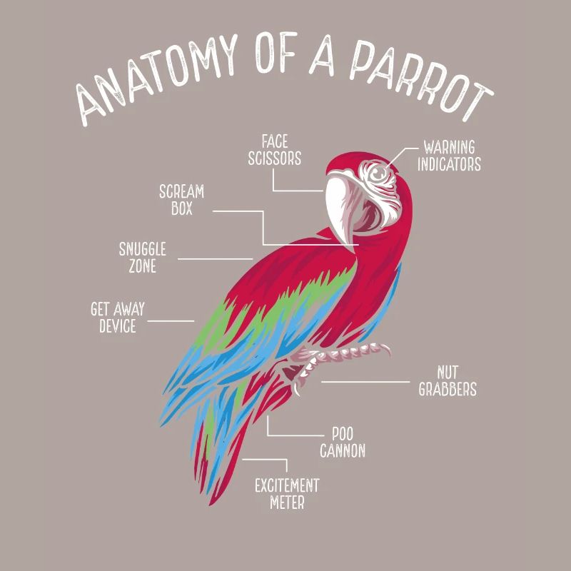 Anatomie d’un perroquet
