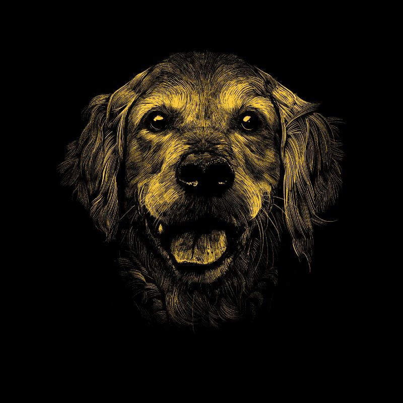 Chien Golden Retriver