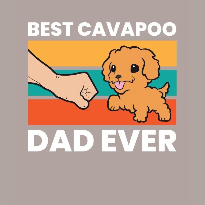 Cavapoo Dog Papa Cavoodle Meilleur Cavapoo Papa