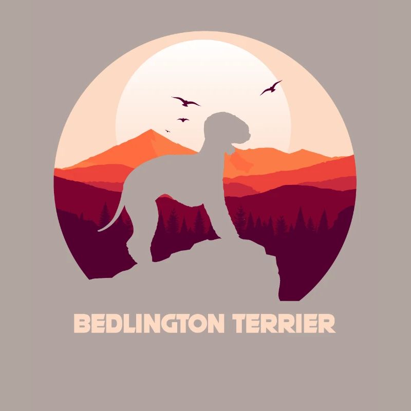 Bedlington Terrier