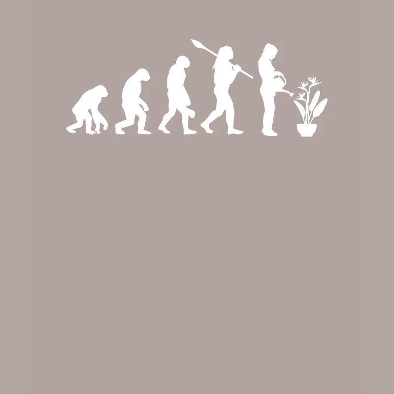 Strelizie Evolution Jardinier