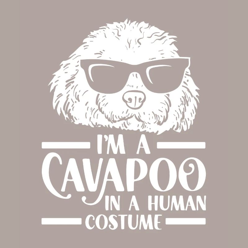 Cavapoo Cavoodle Capoodle Dog