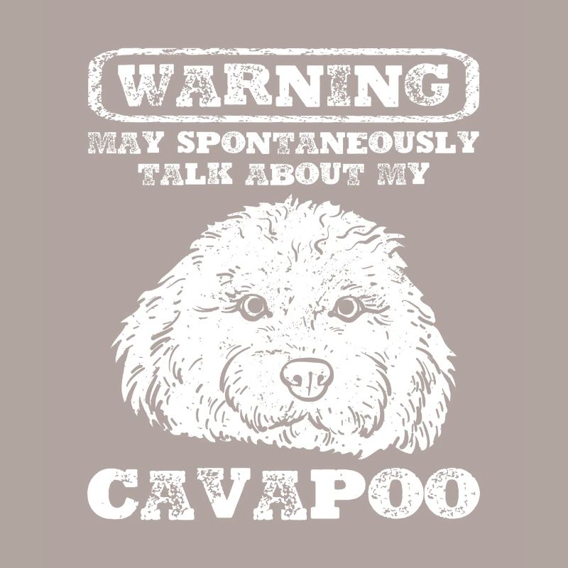 Cavapoo Cavoodle Capoodle Hund