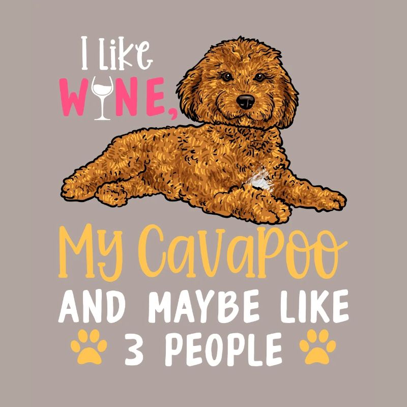 Cavapoo Cavoodle Capoodle Hund