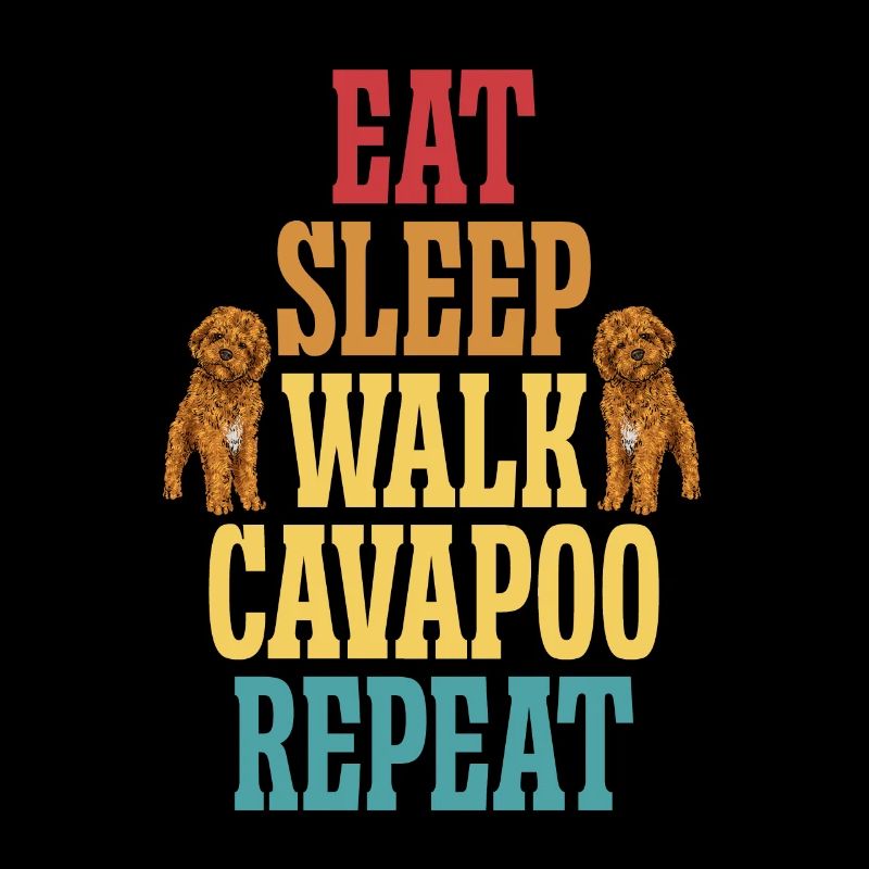 Cavapoo Cavoodle Capoodle Chien