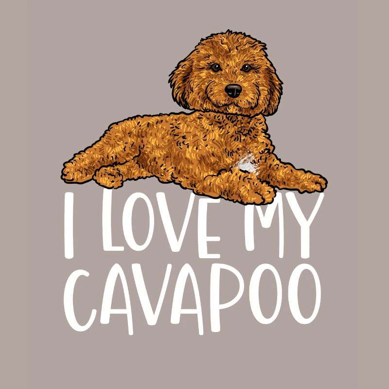 Cavapoo Cavoodle Capoodle Dog