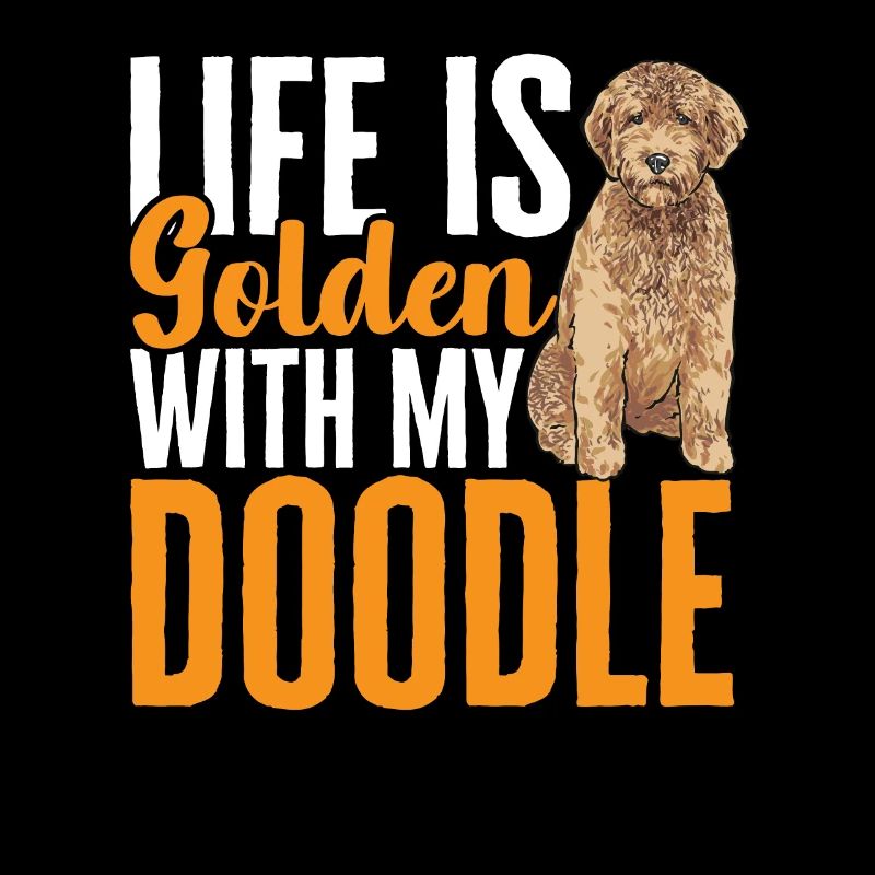 Goldendoodle Doodle Chien
