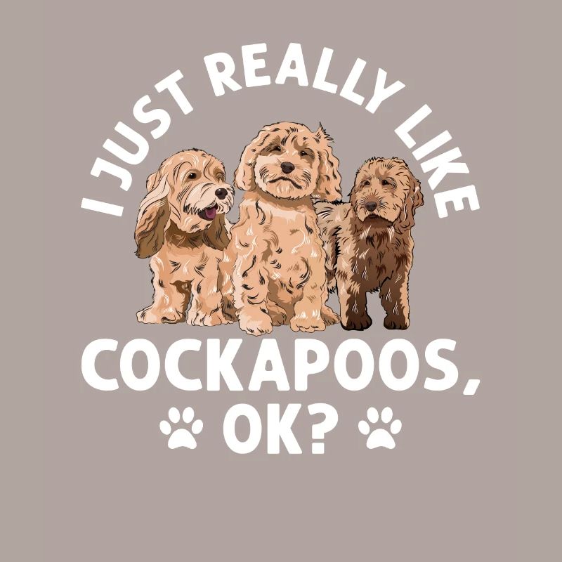 Cockapoo Hund