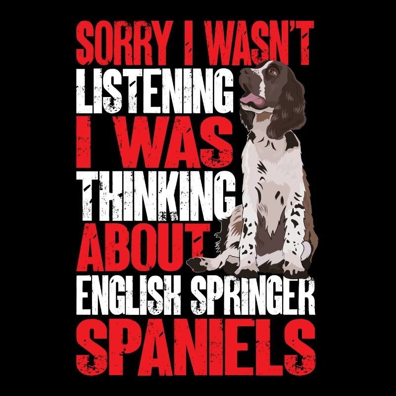 English Springer Spaniel Dog