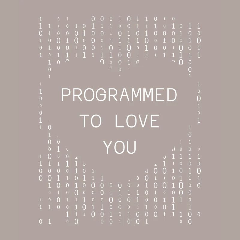 Developer Coder Programmer