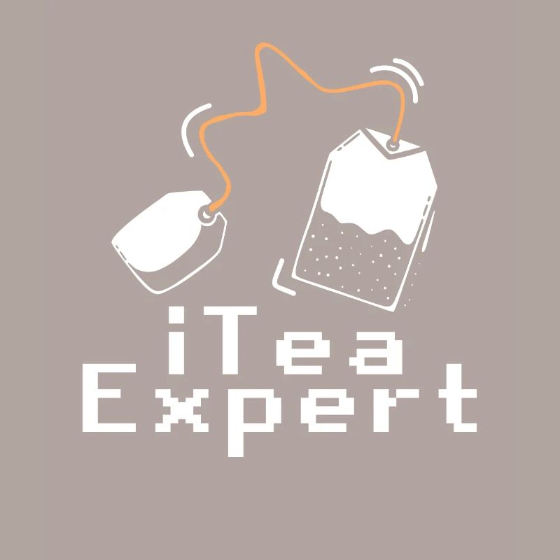 Itea Expert Programmeur de logiciels informatiques