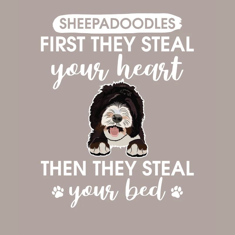 Sheepadoodle Doodle Hund